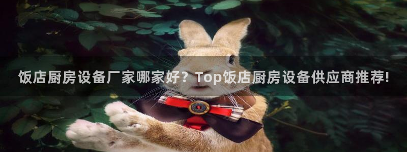 尊龙现金一下指导AG发财网：饭店厨房设备厂家哪家好？Top饭