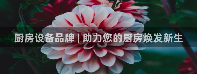 尊龙凯时账号异常审核提不了款怎么办：厨房设备品牌 | 助力您