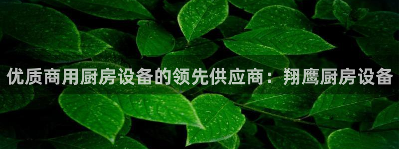 尊龙网页：优质商用厨房设备的领先供应商：翔鹰厨房设备