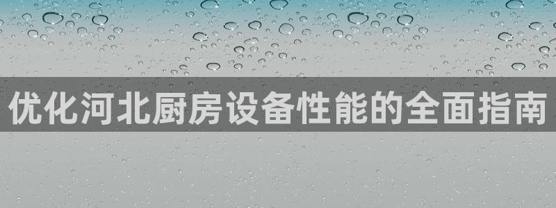 尊龙ag旗舰厅官网官方入口：优化河北厨房设备性能的全面指南