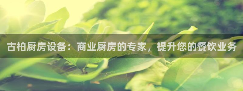 尊龙165：古柏厨房设备：商业厨房的专家，提升您的餐饮业务