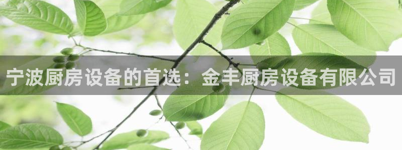 凯时k66会员登录：宁波厨房设备的首选：金丰厨房设备有限公司