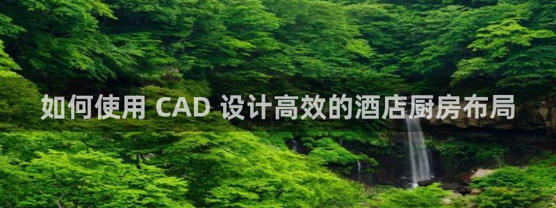 尊龙app怎么样：如何使用 CAD 设计高效的酒店厨房布局