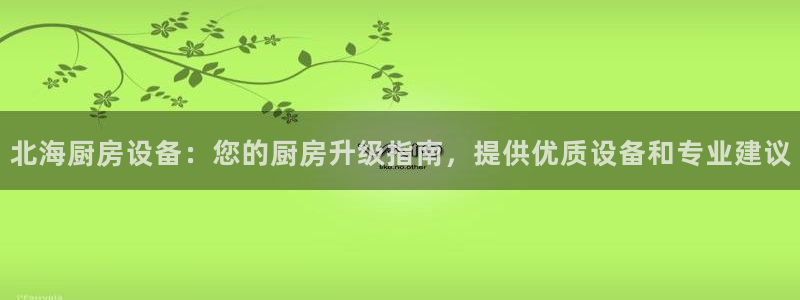 尊龙官网在哪里：北海厨房设备：您的厨房升级指南，提供优质设备