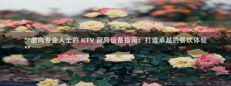 尊龙凯时人生就是搏官：**面向专业人士的 KTV 厨房设备指