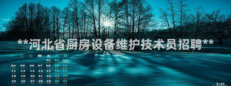 尊龙体育游戏平台：**河北省厨房设备维护技术员招聘**