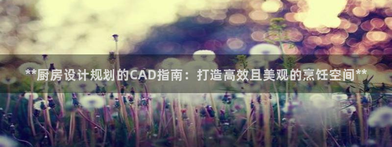 尊龙凯时一人生就是博官网：**厨房设计规划的CAD指南：打造