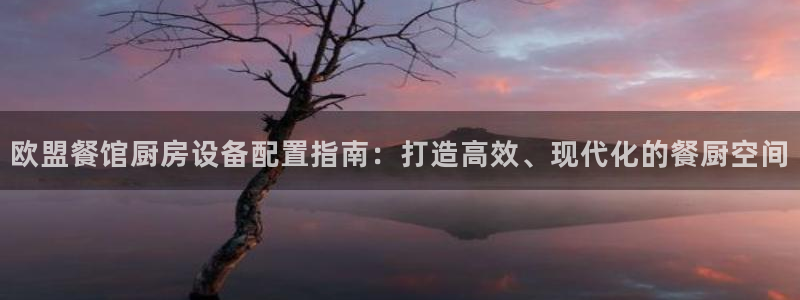 尊龙集团有限公司官网：欧盟餐馆厨房设备配置指南：打造高效、现