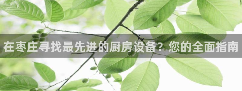 尊龙d88手机版下载：在枣庄寻找最先进的厨房设备？您的全面指