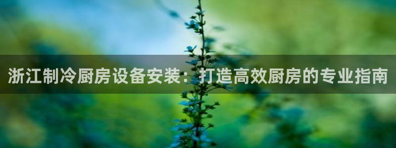 尊龙凯时app官网：浙江制冷厨房设备安装：打造高效厨房的专业